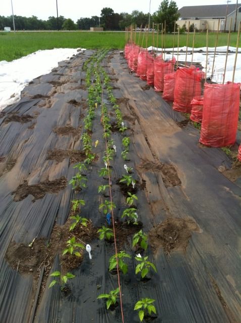  photo 59AFB13C-65D6-46E5-958D-B80A3D9C58CF-27675-0000031FDF5E9B4C_zps8a608e0b.jpg